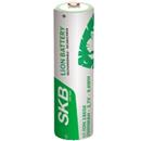 Batteria ricaricabile Li-ion 18650