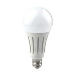 Lampadina LED E27 24Watt 6500K luce fredda, 2100 lumen