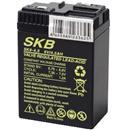 Batteria 6V 4.5Ah, terminali contatt al piombo ricaricabile - SKB