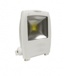 Proiettore LED Bianco 230V 10W 3000 800lm