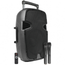 Box amplificato+microfono Wireless