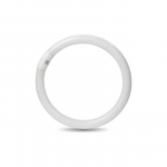 Circolina Led 20W 6500K