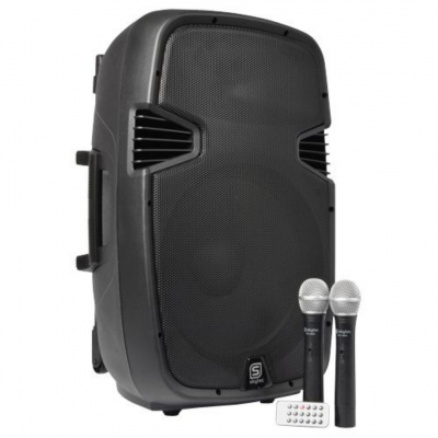 Sistema portatile 700W c/2radiomicr.