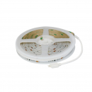 Striscia Led Cob RGBW 24V 5mt 720 Led/m 21Watt/m IP20